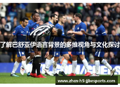 了解巴舒亚伊语言背景的多维视角与文化探讨