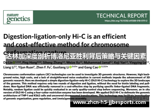 达林加深度剖析博洛尼亚胜利背后策略与关键因素