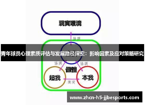 青年球员心理素质评估与发展路径探索：影响因素及应对策略研究