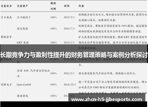 长期竞争力与盈利性提升的财务管理策略与案例分析探讨